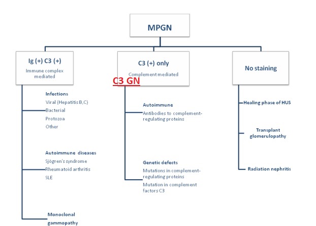 Adapted from Lionaki et al