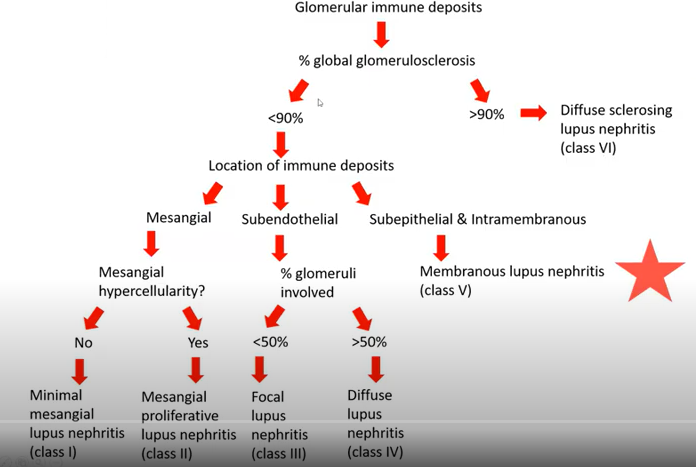 LN classification